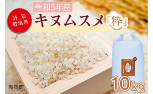  ＜令和5年度 特別栽培米「粋」キヌムスメ 10kg＞ ※入金確認後、翌月末迄に順次出荷します。 1077087 - 宮崎県高鍋町