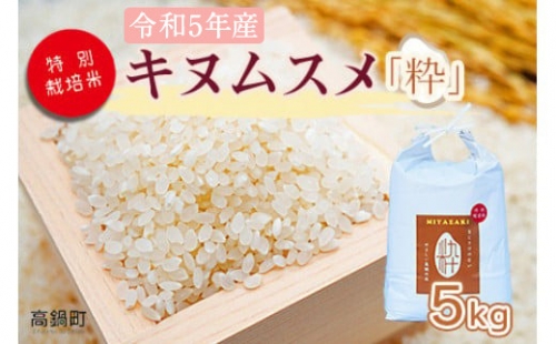 ＜令和5年度 特別栽培米「粋」キヌムスメ 5kg＞※入金確認後、翌月末迄に順次出荷します。 1077088 - 宮崎県高鍋町