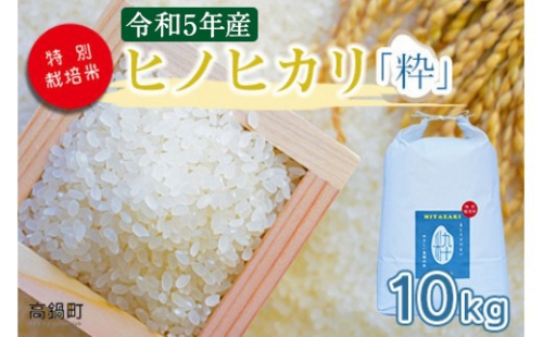 ＜令和5年度 特別栽培米「粋」ヒノヒカリ 10kg＞ ※入金確認後、翌月末迄に順次出荷します。 1077089 - 宮崎県高鍋町