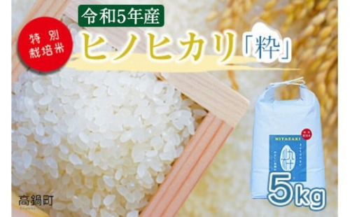 ＜令和5年度 特別栽培米「粋」ヒノヒカリ5kg ＞ ※入金確認後、翌月末迄に順次出荷します。 1077090 - 宮崎県高鍋町