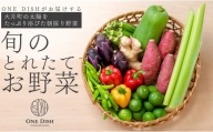 【高知県大月町産】旬のとれたてお野菜セット