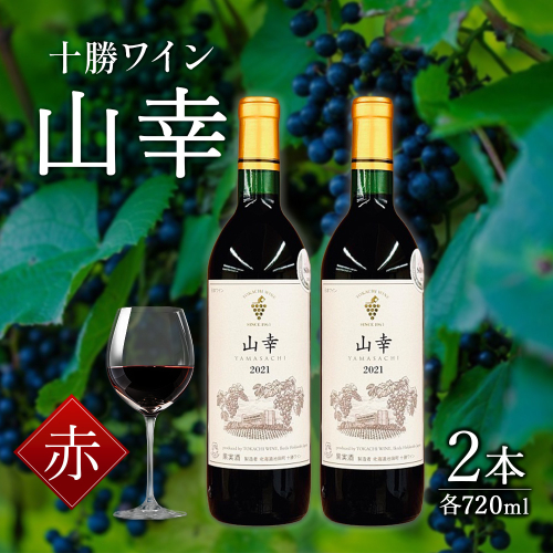 山幸 2本 赤ワイン 受賞歴多数 北海道ワイン テレ朝「朝だ！生です旅サラダ」で紹介されました OIV登録（国際ワイン・ブドウ機構） ワイン 世界が認めるワイン 1077524 - 北海道池田町