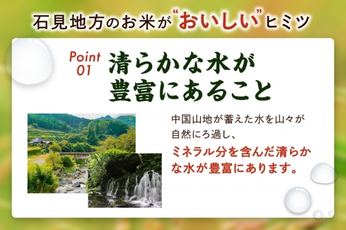 令和5年産】「石見産きぬむすめ」の塩むすびセット お祝い 母の日 お