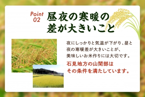 令和5年産】「石見産きぬむすめ」の塩むすびセット お祝い 母の日 お