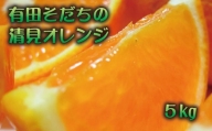 【2025年2月下旬～発送】有田育ちの完熟清見オレンジ(ご家庭用)　約5kg