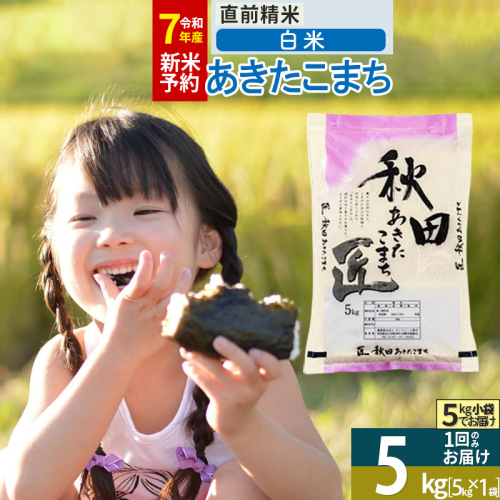【白米】＜令和7年産＞ 秋田県産 あきたこまち 5kg (5kg×1袋) 5キロ お米 匠 1078174 - 秋田県仙北市