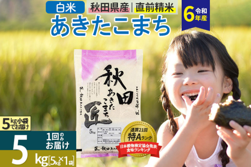 数量限定【白米】秋田県産 あきたこまち 令和6年産 5kg お米 1078174 - 秋田県仙北市