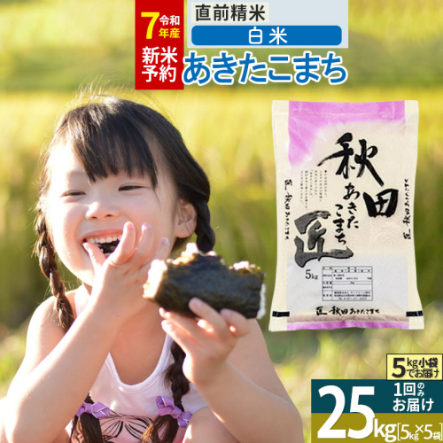 【白米】＜令和7年産＞ 秋田県産 あきたこまち 25kg (5kg×5袋) 25キロ お米 匠 1078221 - 秋田県仙北市