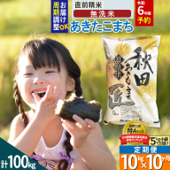 【無洗米】＜新米＞《定期便10ヶ月》秋田県産 あきたこまち 10kg (5kg×2袋) ×10回 令和5年産 発送時期が選べる 周期調整OK 隔月配送OK お米