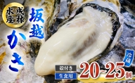 牡蠣 生食用 坂越かき 殻付き 20～25個[ 生牡蠣 真牡蠣 かき カキ 冬牡蠣 ]