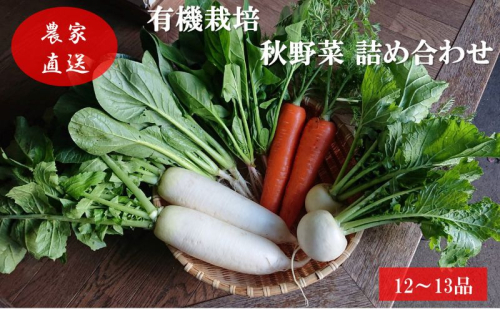 有機栽培 秋野菜 詰め合わせ 群馬県産 東吾妻 有機JAS 認証取得 秋 野菜 やさい 詰合せ 旬 1078723 - 群馬県東吾妻町