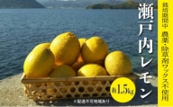 [№5311-0857]レモン 栽培中 農薬・除草剤不使用 果汁たっぷりレモン 約1.5kg ≪ 白須ファーム ≫ 広島 三原 佐木島 鷺島みかんじま