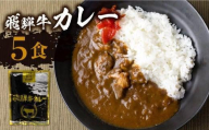 【12月発送】飛騨牛カレー (5袋) ビーフカレー 飛騨牛 カレー レトルトカレー  簡易包装 ふるさと清見  DC005VC12