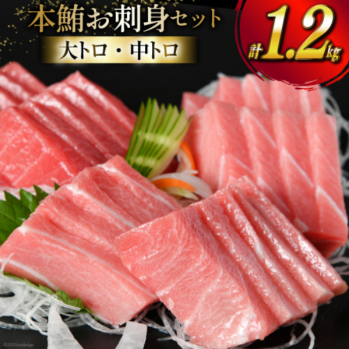 【高級旅館御用達】 本鮪 お刺身セット 大トロ 800g 中トロ 400g [豊洋海産流通 宮城県 気仙沼市 20563969] 魚 刺身 まぐろ マグロ 本マグロ 鮪 柵 本鮪 本まぐろ 本鮪柵 セット 詰め合わせ 魚介 海鮮 1079341 - 宮城県気仙沼市