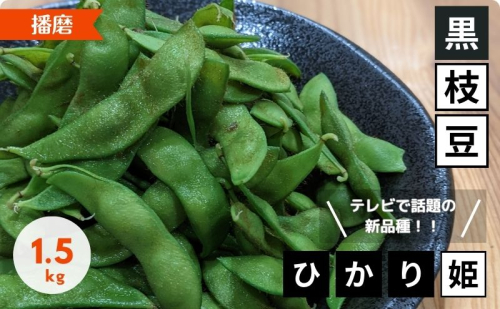 【テレビで話題！】兵庫の新品種黒枝豆 ひかり姫 兵庫県 万願寺産 1.5kg 野菜 国産野菜 大粒 甘味 コク 秋の味覚 旬の野菜 産地直送 つまみ 1079344 - 兵庫県加西市