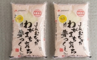 【令和5年産】福岡の美味しいお米 夢つくし 5kg×2袋 合計10kg
