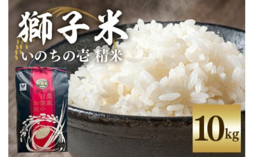 【令和7年産】獅子米 いのちの壱 精米 10kg 岡田ファーム コンテスト受賞米 お米 白米 米 おこめ ブランド米 10キロ 国産 単一原料米 コメ こめ ご飯 銘柄米 茨城県産 茨城 産直 産地直送 農家直送 ごはん 家庭用 贈答用 お取り寄せ 茨城県 石岡市 (B02-018) 1079442 - 茨城県石岡市