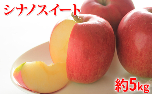 【2021年10月~11月発送 先行予約】長野市産シナノスイート家庭用 約5kg 矢島農園 りんご フルーツ