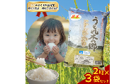 令和7年産 阿武町 「 うもれ木の郷 」 こしひかり 2kg×3袋 【 エコやまぐち認証 】