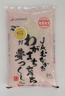 12ヶ月毎月★夢つくし5kg×12回 令和6年産【1月開始】[F5031a] 108018 - 福岡県福津市