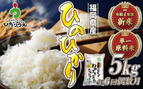 【米定期便】【年6回偶数月】【2026年2月発送開始】JAよりお届け！「ひのひかり」 5kg（5kg×1袋）×6回 計30kg[G5082] 108042 - 福岡県福津市