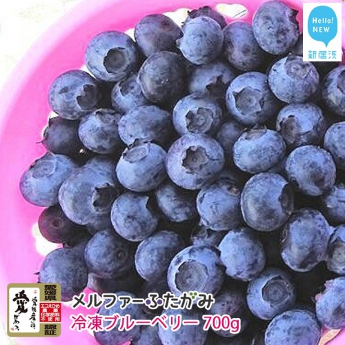 【先行予約】 完熟ブルーベリー700g（冷凍）毎年人気の冷凍ブルーベリーです メルファーふたがみ 1080 - 愛媛県新居浜市