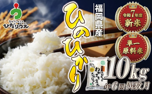 【米定期便】【年6回偶数月】【2026年2月発送開始】JAよりお届け！「ひのひかり」10kg（5kg×2袋）×6回 計60kg[G5102] 108143 - 福岡県福津市