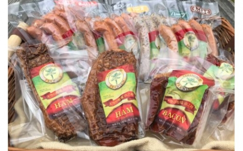 肉製品10点セット 肉製品 詰め合わせ ソーセージ ブロック ベーコン 山之村牧場