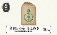 米 30kg  はえぬき 玄米 令和5年産 2024年5月下旬 kb-hagxa30-5s
