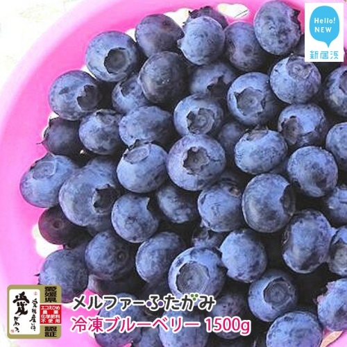 完熟ブルーベリー1500g（冷凍） 毎年人気の冷凍ブルーベリーです メルファーふたがみ 1081 - 愛媛県新居浜市