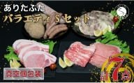 【人気！豚肉7種セット】ありたぶた バラエティSセット (豚肉7種) 小分け 真空パック 豚肉 ロース バラ ウインナー ソーセージ ハンバーグ N20-48
