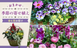 季節の花といろんな種類の鉢が楽しめる寄せ植えプランター。旬のお花をたっぷり使った寄せ植え。当店スタッフがお花に合わせたプランターを厳選します。年に4回なので季節毎のお花が楽しめます。■観葉植物の育て方
