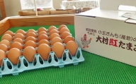 大村 紅たまご ( 40個入 ) / たまご 卵 赤卵 / 大村市 ふれあいの店[ACAB399]
