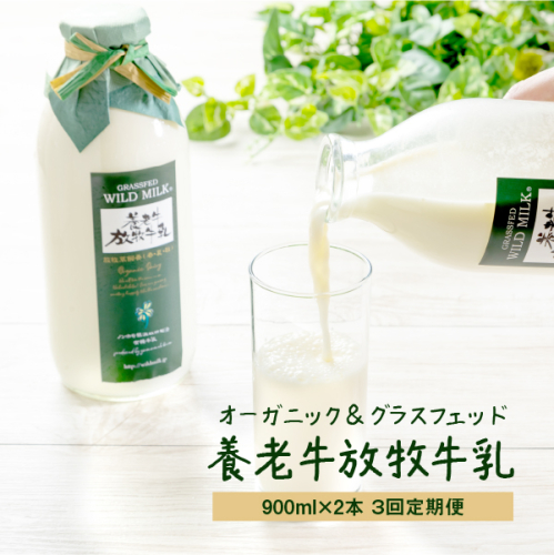 【定期便：全3回】オーガニック＆グラスフェッド養老牛放牧牛乳900ml×2本【1300301】 1083129 - 北海道中標津町
