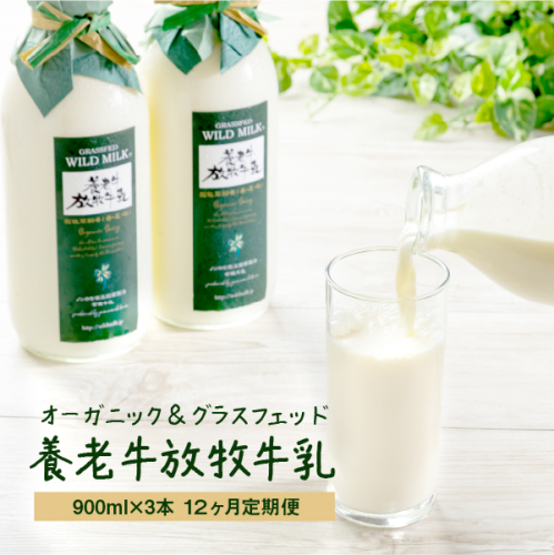 【定期便：全12回】オーガニック＆グラスフェッド養老牛放牧牛乳900ml×3本【1301701】 1083141 - 北海道中標津町
