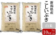 【令和5年産米】お米と共に200年の松村商店直送！ こしいぶき 白米 10kg（5kg×2袋）[ZB591]