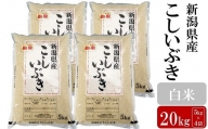 【令和5年産米】お米と共に200年の松村商店直送！ こしいぶき 白米 20kg（5kg×4袋）[ZC435]