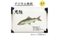 デジタル魚拓 A3サイズ オーダーメイド 和紙 フィッシング 釣り 魚拓[No.5220-1564]