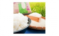 ＜令和5年度産＞特別栽培米 コシヒカリ 精米 10kg【1445982】