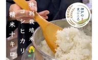 特別栽培米　神戸のまごころ　コシヒカリ 精米　10kg（5kg×2袋）