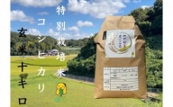 特別栽培米　神戸のまごころ　コシヒカリ 玄米　10kg（5kg×2袋）