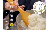 特別栽培米　神戸のまごころ　ヒノヒカリ 精米 5kg