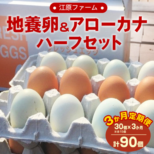 【定期便3か月】 江原ファーム 地養卵＆アローカナハーフセット（30個） ※着日指定不可 | 卵 定期便 30個 玉子 たまご タマゴ 生卵 鶏卵 生みたて 産みたて アローカナ 地養卵 食べくらべ 食べ比べ セット 新鮮 濃厚 健康 青い卵 TKG たまごかけごはん ご飯のお供 国産 ギフト 贈答 贈り物 お中元 お歳暮 プレゼント 茨城県 古河市 直送 農家直送 産地直送 送料無料 _AG19 1083977 - 茨城県古河市