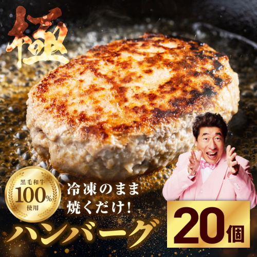 黒毛和牛100％ 極み生ハンバーグ（180g）×20個 CFX0028 1084019 - 大阪府泉佐野市