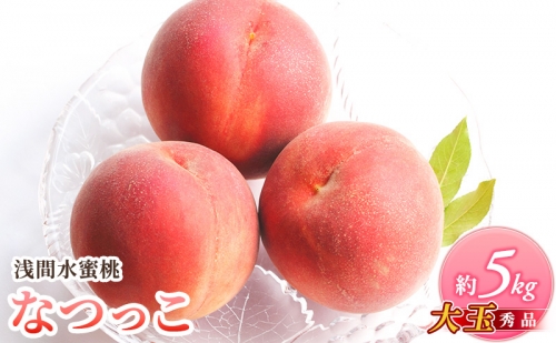 浅間水蜜桃 みつおかの もも なつっこ  大玉 秀品 約5kg 長野県産 小諸市 桃