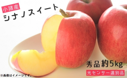 信州小諸産 シナノスイート 秀品 約5kg 長野県産 果物類 林檎 りんご リンゴ 108447 - 長野県小諸市