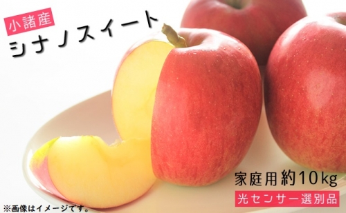 信州小諸産 シナノスイート 家庭用 約10kg 長野県産 果物類 林檎 りんご リンゴ
