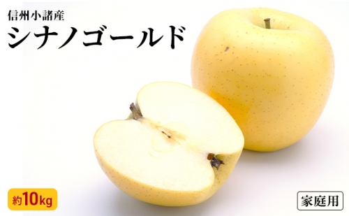 信州小諸産 シナノゴールド 家庭用 約10kg 長野県産 果物類 林檎 りんご リンゴ 108450 - 長野県小諸市