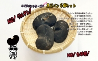 韓国大ヒット コグマパンシリーズ 黒豆×６個