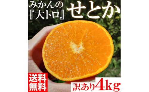 せとか みかんの大トロ 4kg 訳あり ブランド 和歌山 有田みかん 農家直送 オレンジ フルーツ 果物 1084611 - 和歌山県有田川町